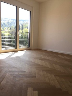 Idyllische 3-Zimmer-Penthouse-Wohnung mit gehobener Innenausstattung und Dachterrasse in Heidelberg