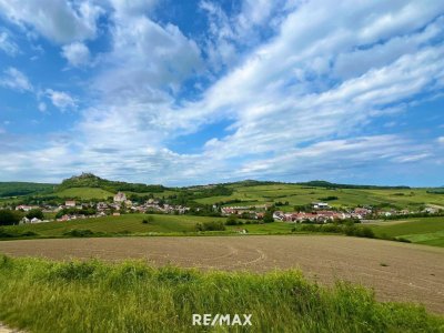 Winzerhaus im Weinort Falkenstein