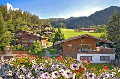 !!!2 traumhafte Chalets in wunderschöner Aussichtslage auf einem großen Grundstück mit Außenpool!!!