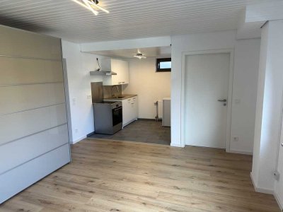 Exklusive 1-Zimmer-Einlieger-Wohnung mit EBK in Talheim