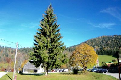 Berchtesgaden-Obersalzberg: Große 4 Zimmerwohnung mit Terrasse & Garagenplatz