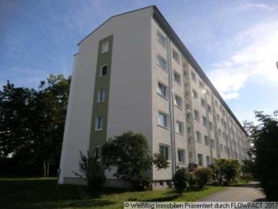 Sanierte 3 Raumwohnung mit Balkon in Weida