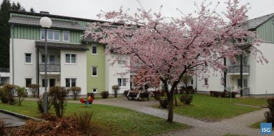 3-Zimmerwohnung im Erdgeschoss in 4850 Timelkam, Waldpoint 10 Top 25