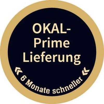 OKAL-Prime-Lieferung! Einfamilienhaus mit modernem Designanspruch!