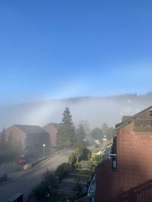 2- Zimmer Wohnung im Terrassenpark Sasbachwalden