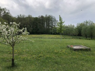 Geräumiges, preiswertes und vollst. renoviertes 6-Raum-Farmhaus mit geh. Innenausstattung in Fincken