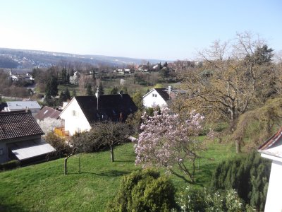 Möbliertes Single-Appartement (nur für 1 Person -NR) in Pforzheim