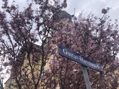 Atmosphärische 1-Zimmer-EG-Wohnung mit Wohnküche und 2 Balkonen in Dresden Laubegast